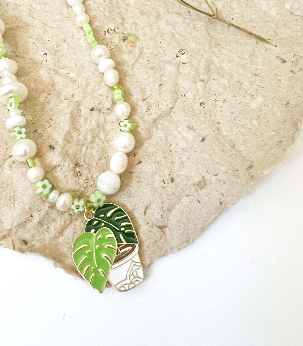 Monstera - The Ugly Cactus 