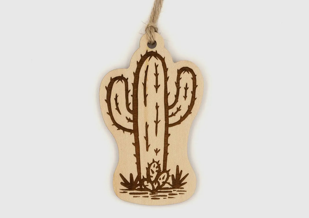Merry Little Desert Cactus Box - The Ugly Cactus 