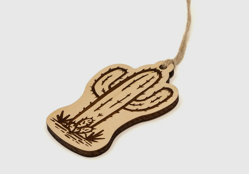 Merry Little Desert Cactus Box - The Ugly Cactus 