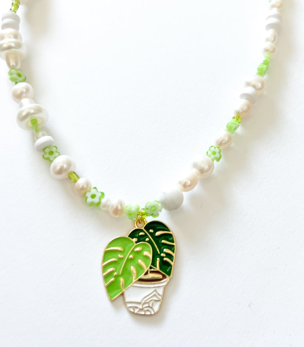 Monstera - The Ugly Cactus 