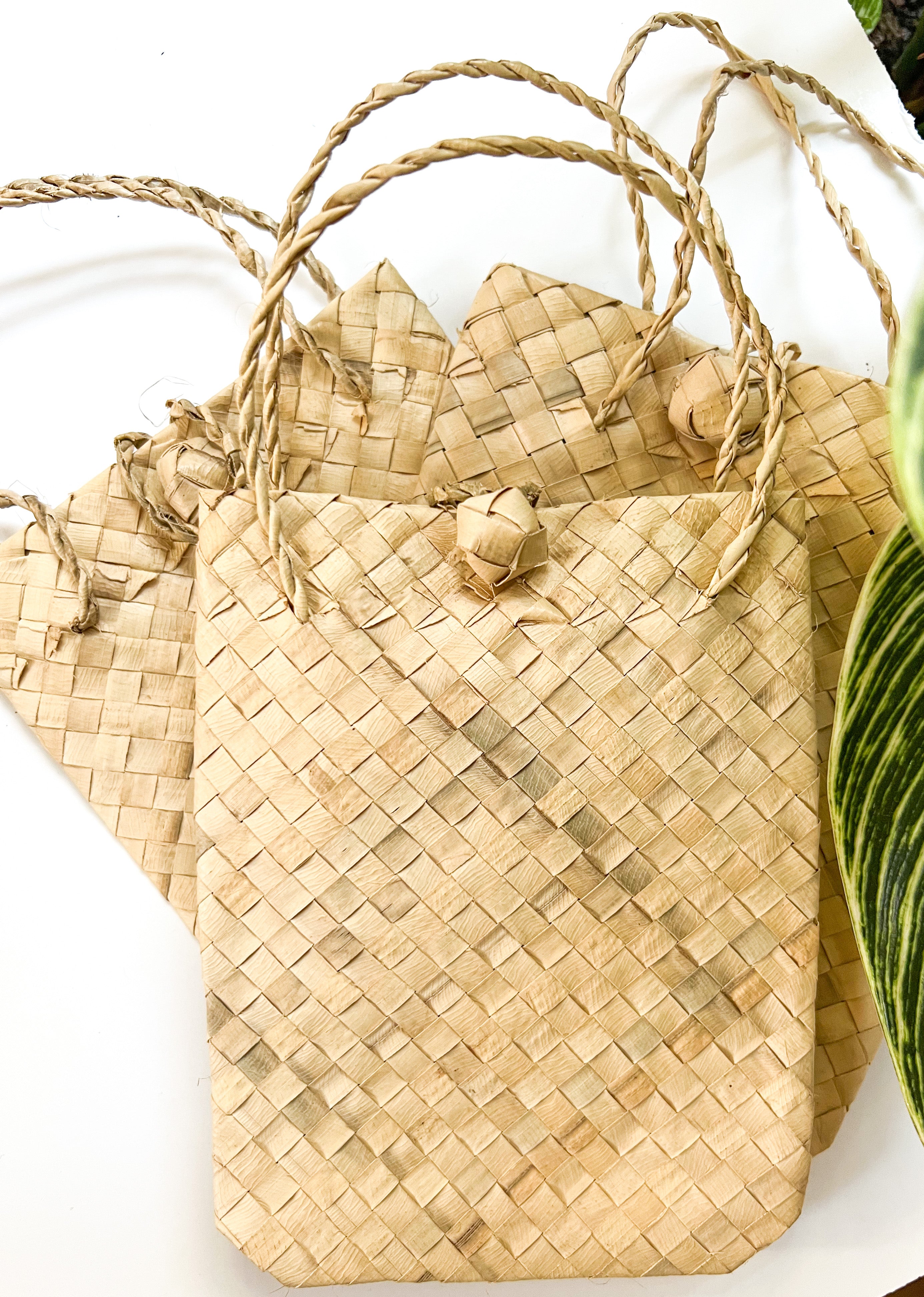Gift Bag - The Ugly Cactus 